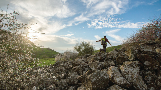 רמת הגולן (צילום: מאור קינסבורסקי, פלאש 90)