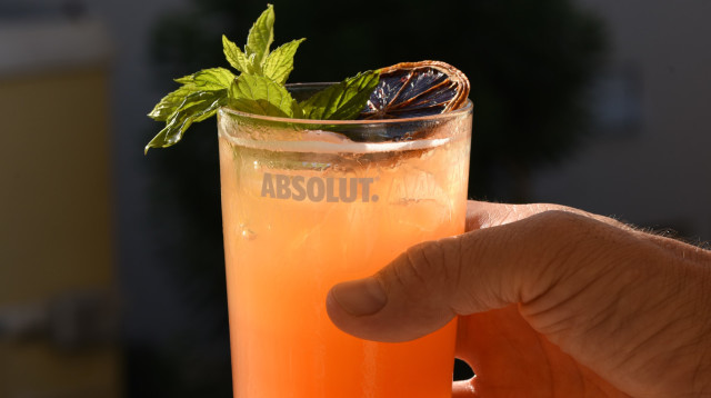 קוקטייל, "מד בריז"  (צילום: קרינה גנץ)