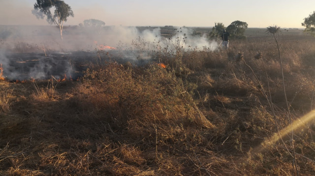 בלוני תבערה: שריפה בבארי (צילום: TPS)