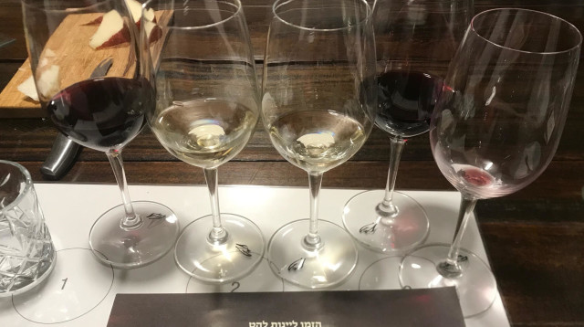 טעימת יינות להט  (צילום: טליה לוין)