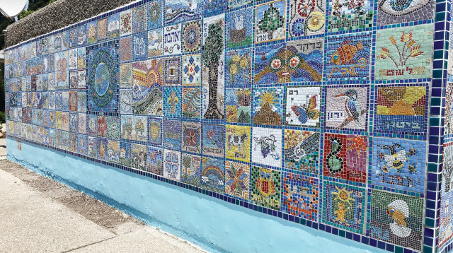 קירונה בעין השופט (צילום: מיטל שרעבי)