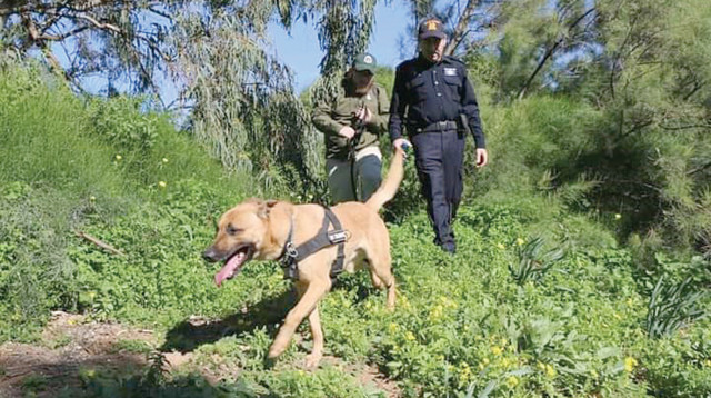 יחידת הכלבנים (צילום: דוברות יכ"ל)