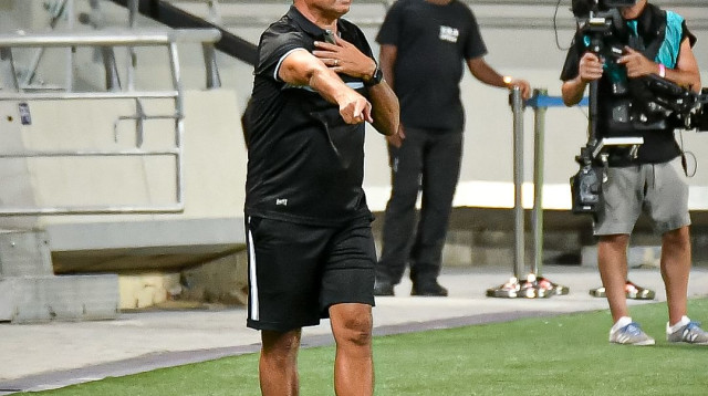 אלישע לוי (צילום: אריאל שלום)