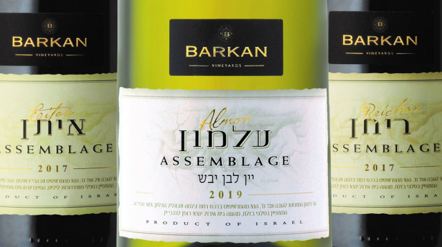 ברקן, אסמבלאז' (צילום: יח"צ)