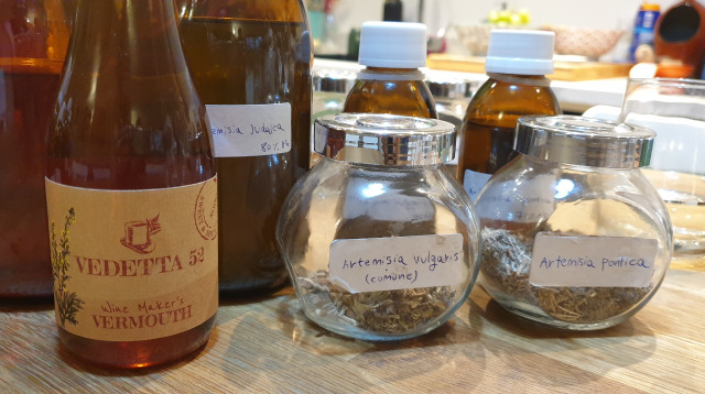 52 Vedetta  - וורמוט ישראלי  (צילום: מירה איתן)