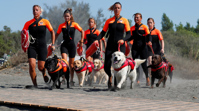 סיירת הכלבים  (צילום: רויטרס)