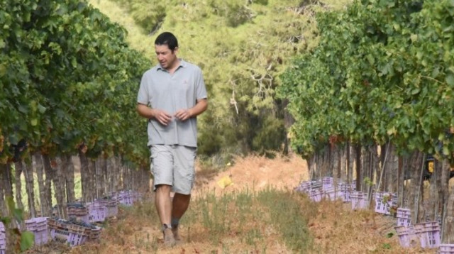 ערן גולדווסר, יקב יתיר  (צילום: יח"צ)