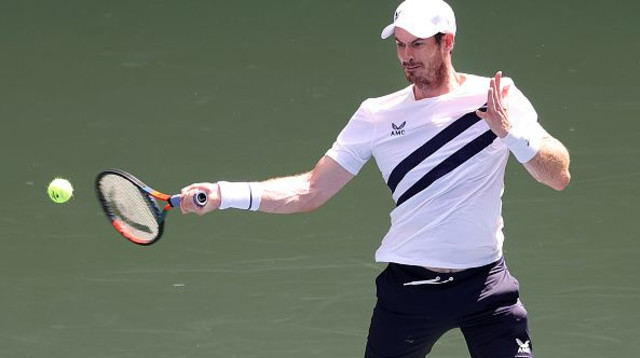 אנדי מארי (צילום: Al Bello/Getty Images)