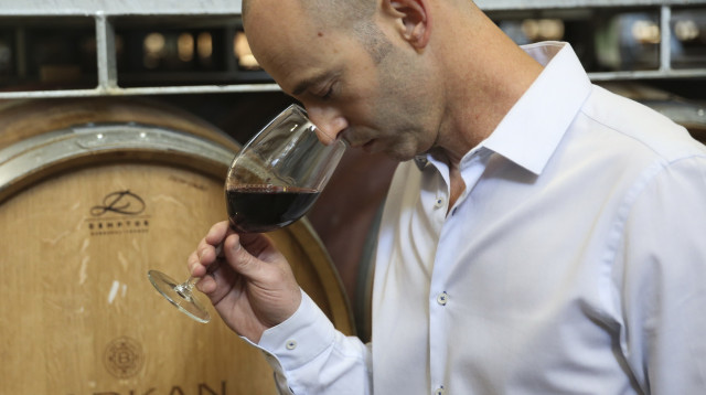 MW עידו לוינסון, ברקן- סגל  (צילום: אלירן אביטל)