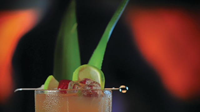 קוקטייל סינגפור סלינג  (צילום: שעות שמחות )