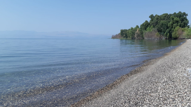 הכנרת (צילום: חגי לוין רשות הכינרת)