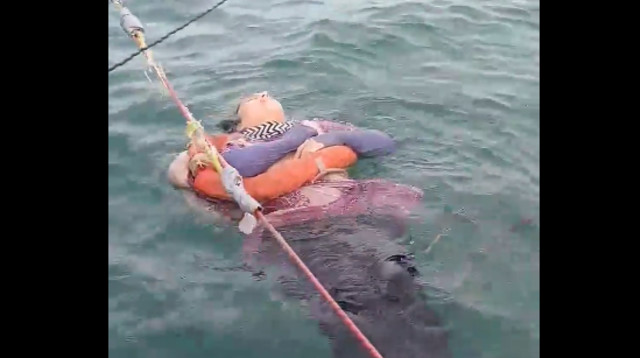 אנג'ליקה גייטן, הנעדרת שנמצאה בלב הים (צילום: צילום מסך רשתות חברתיות)