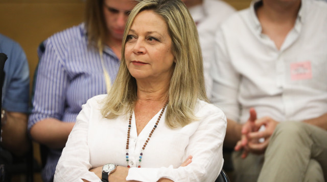 מיקי חיימוביץ' בוועדת הפנים והגנת הסביבה (צילום: נועם ריבקין פאנטון פלאש 90)