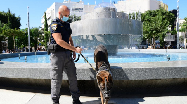 סיוע בכלבי משטרה באכיפת הסגר  (צילום: אבשלום ששוני)