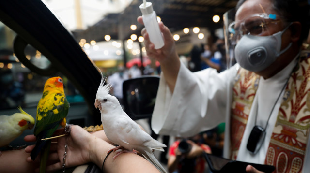 כומר קתולי מברך את הציפורים (צילום: רויטרס)