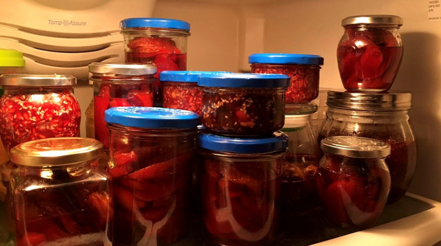 ריבת חבושים (צילום: פסקל פרץ-רובין)