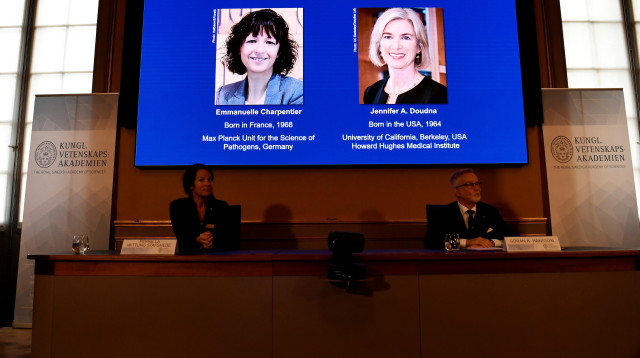 הזוכות בפרס נובל בכימיה (צילום: Henrik Montgomery/Pool via REUTERS)