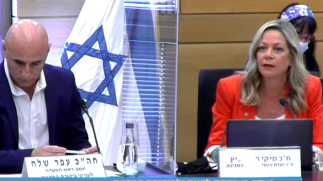 חיימוביץ' ושלח בדיון (צילום: צילום מסך מערוץ הכנסת)