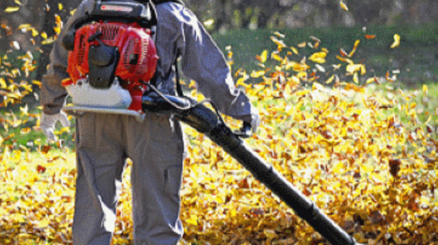 מפוח (צילום: יח"צ)