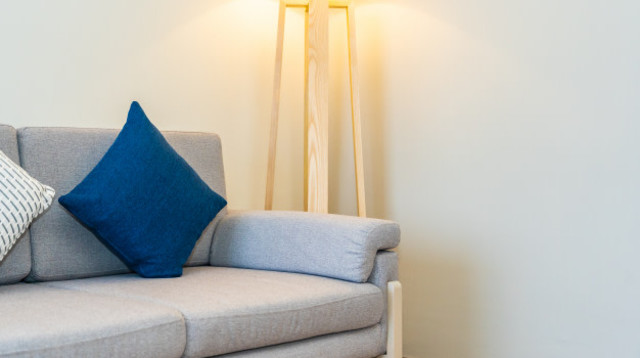 ניקוי ספות (צילום: FREEPIK)