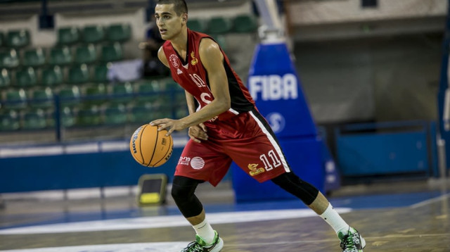 ים מדר (צילום: פיב"א)