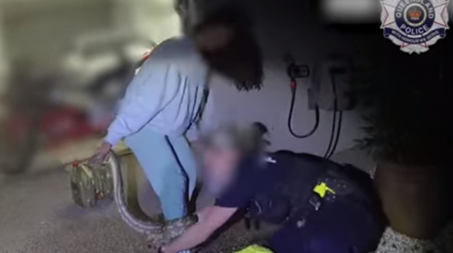 חילוץ הנחש באוסטרליה (צילום: צילום מסך)