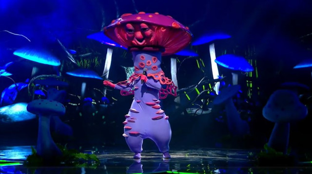 הזמר במסכה - הפטריה (צילום: צילום מסך)