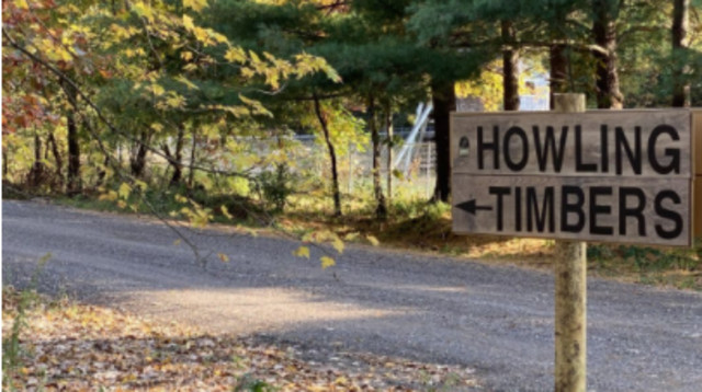 חוות החיות הלא חוקית במישיגן (צילום: Michigan Department of Natural Resources)