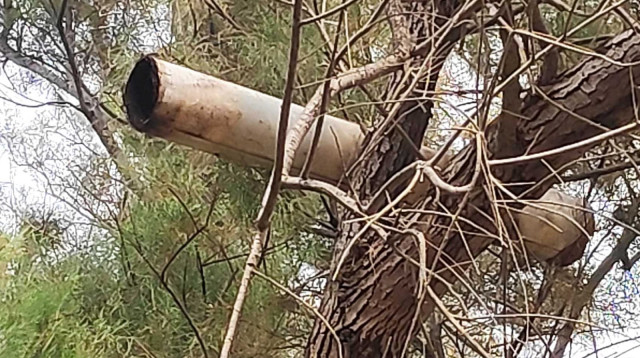 בלון תבערה בעוטף עזה  (צילום: דוברות המשטרה)