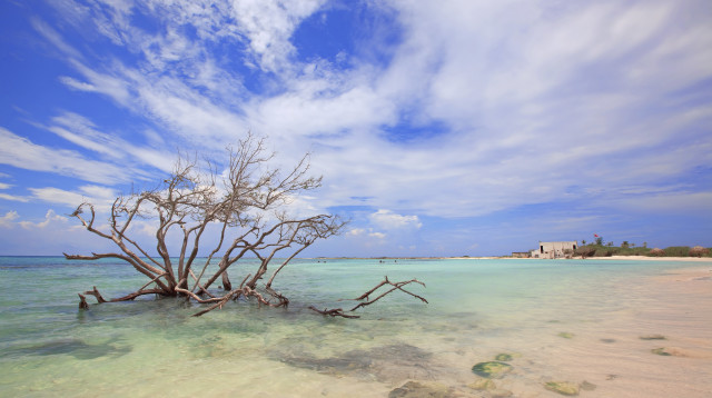 חוף ים, אילוסטרציה (צילום: ingimage ASAP)