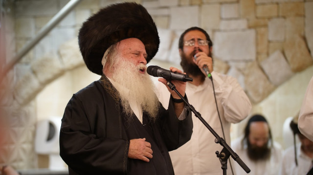 דוד רפאל בן עמי (צילום: אברהם שפירא)