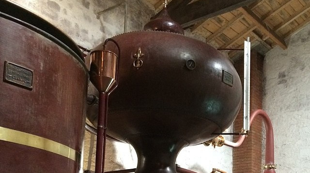 מזקקת בקוניאק  (צילום: סנהדרינק)