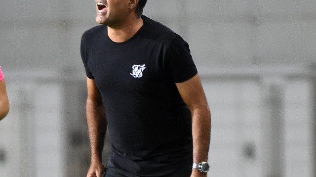 חיים סילבס (צילום: ברני ארדוב)