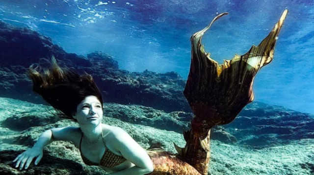 שיר פרג' שוחה עם סנפיר מתחת למים  (צילום: אריק זינגר)