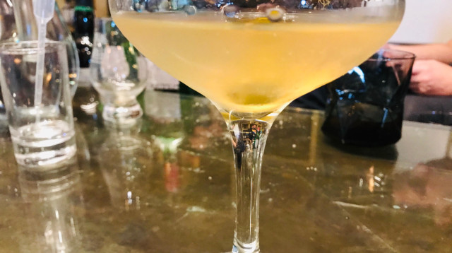 מרטיני  (צילום: טליה לוין)