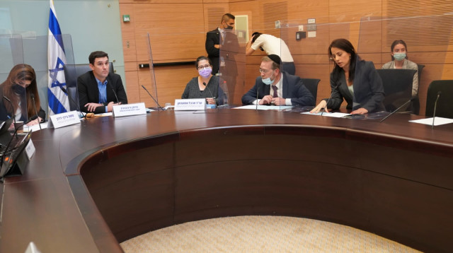 ועדת הכנסת בראשות ח"כ איתן גינזבורג (צילום: דוברות הכנסת, דני שם טוב)