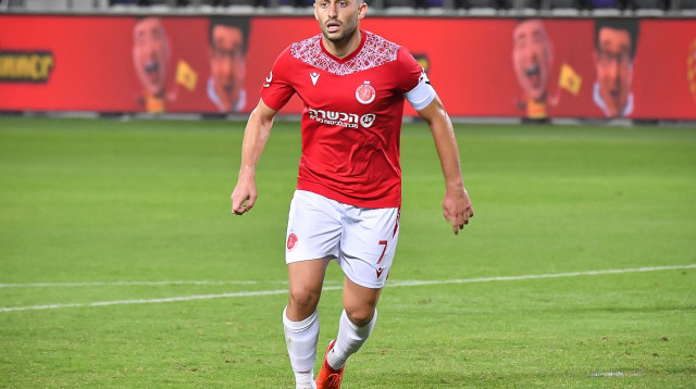 עומרי אלטמן (צילום: אריאל שלום)