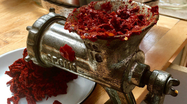 אריסה (צילום: פסקל פרץ-רובין)