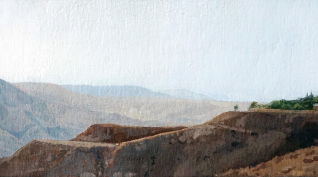 שדה בוקר (צילום: איור: אופיר בגון)