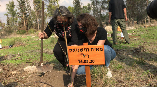 עץ לזכרה של מאיה ווישניאק ז"ל (צילום: מערך ההסברה קק"ל)