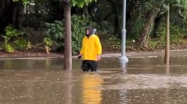 הצפות ברמת אביב (צילום: אביחי קרבצי'ק)