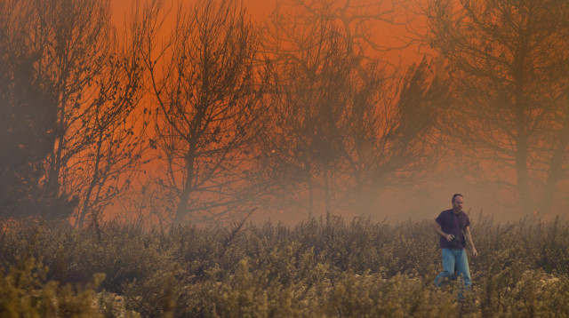 השריפה בכרמל (צילום: רוני סופר)