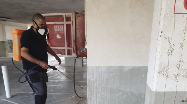 איך בוחרים מדביר נכון (צילום: הדברה בטוחה)