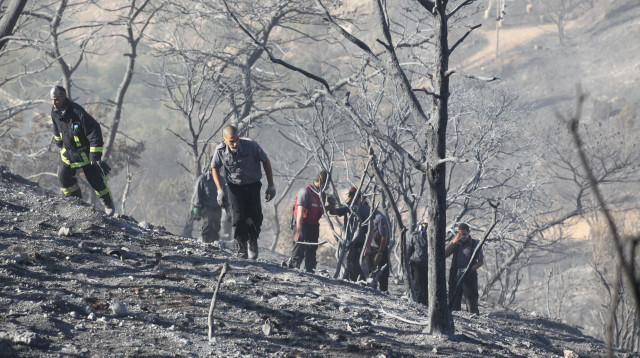 אסון הכרמל (צילום: אלכס רוזקובסקי)