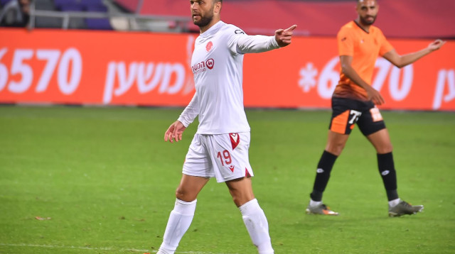 לבאן קוטליה (צילום: אריאל שלום)