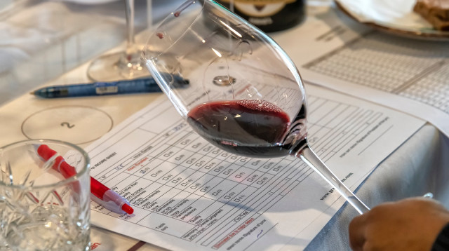 תחרות היין טרהוינו 2020 (צילום: אייל גוטמן)