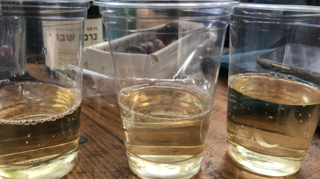 יין בכוסות חד פעמיות. כמו פסטיבל בירה (צילום: טליה לוין)