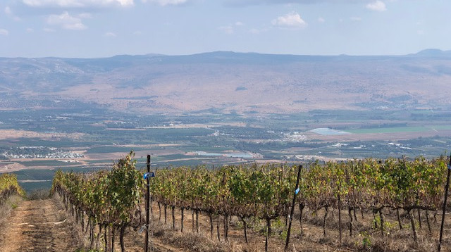 כרם משגב עם, יקב הרי גליל  (צילום: הגר שמיר)