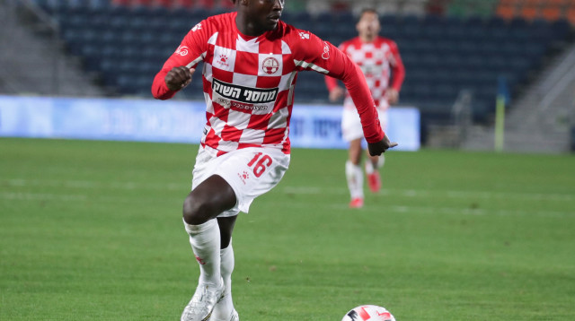 סינטיהו סלליך (צילום: דני מרון)