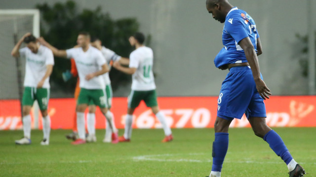 UDIZ4388a (צילום: )